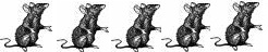 ratting system 5 rats